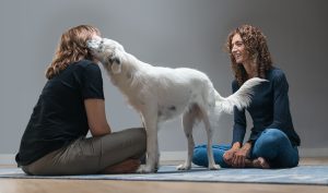 Perra blanca acompaña a dos mujeres durante una terapia gestalt con perros